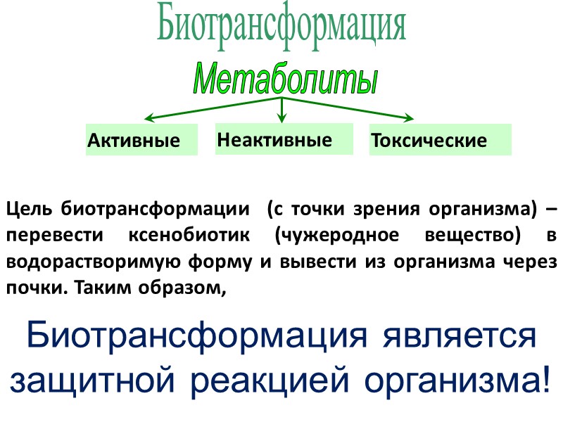 Биотрансформация Метаболиты Активные Неактивные Токсические Цель биотрансформации  (с точки зрения организма) – перевести